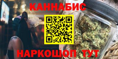 крисы Будённовск