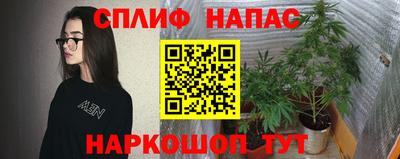 крисы Будённовск