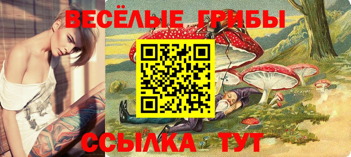 Полевской  цена наркотик  Псилоцибиновые грибы мицелий  Вход с VPN  Галлюциногенные грибы мухоморы 